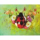 LEANIN TREE GREETING CARD Ladybug